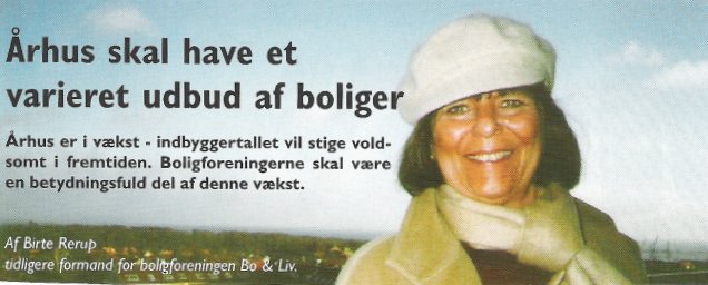 Birte Rerup boligartikel